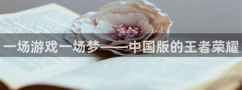 杏耀代理日工资多少