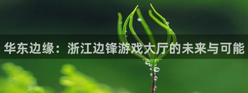 杏耀平台代理注册多少钱：华东边缘：浙江边锋游戏大厅的未来与可