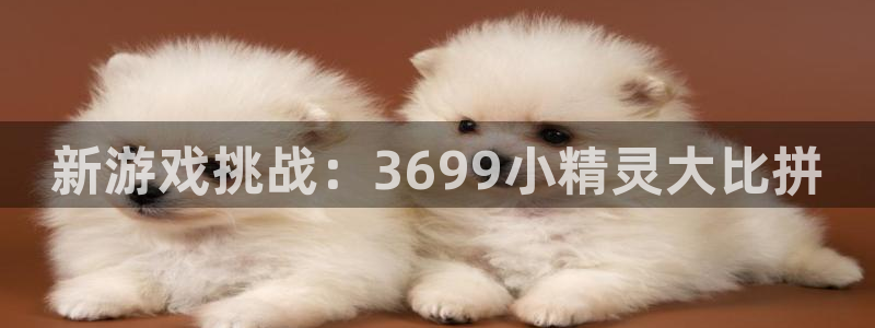 杏耀平台怎么样