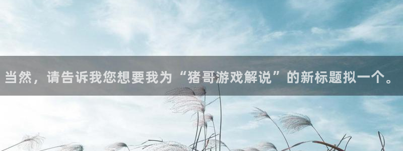 杏耀软件：当然，请告诉我您想要我为“猪哥游戏解说”的新标题拟