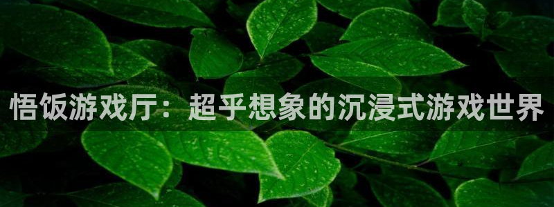 杏耀注册：悟饭游戏厅：超乎想象的沉浸式游戏世界